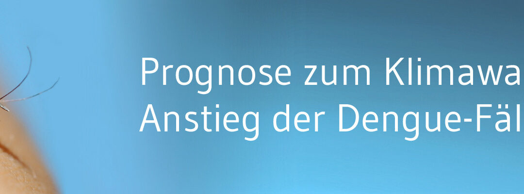 Dengue-Fälle könnten bis 2050 um 60 Prozent steigen