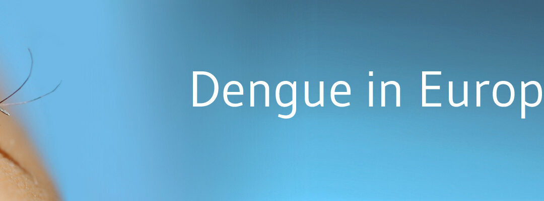 Europa im Dengue-Fieber