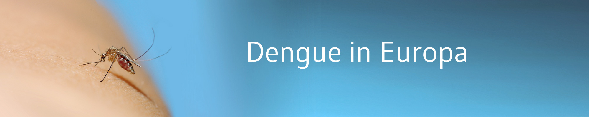 Die-GPK-informiert-Dengue-Europa