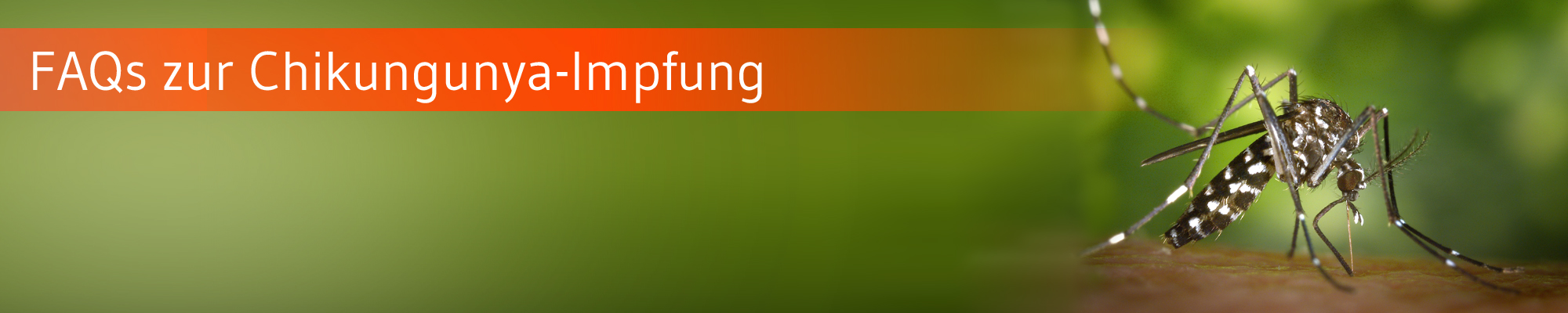 Die-GPK-Informiert-FAQ-Chikungunya-Impfung