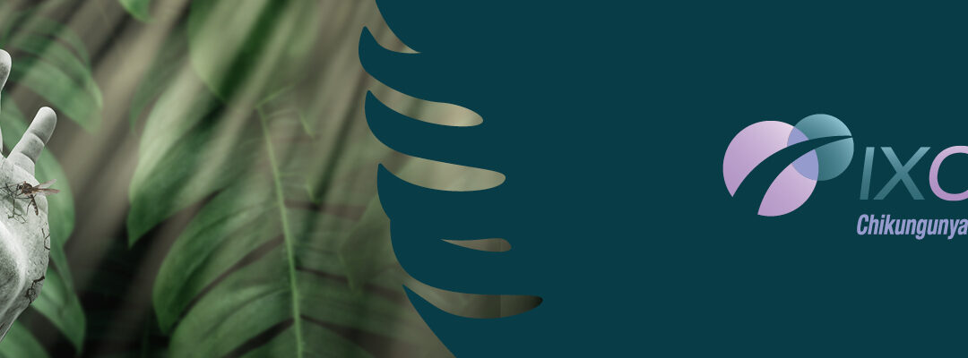 IXCHIQ®: Starke und langanhaltende Immunantwort mit nur einer Dosis – Seroresponserate*# von 96 % nach 3 Jahren¹