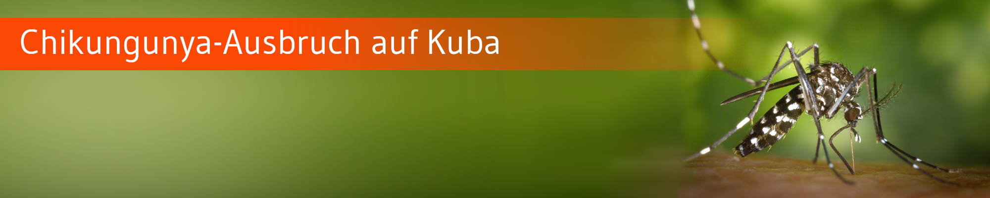Die-GPK-informiert-Chikungunya-Kuba