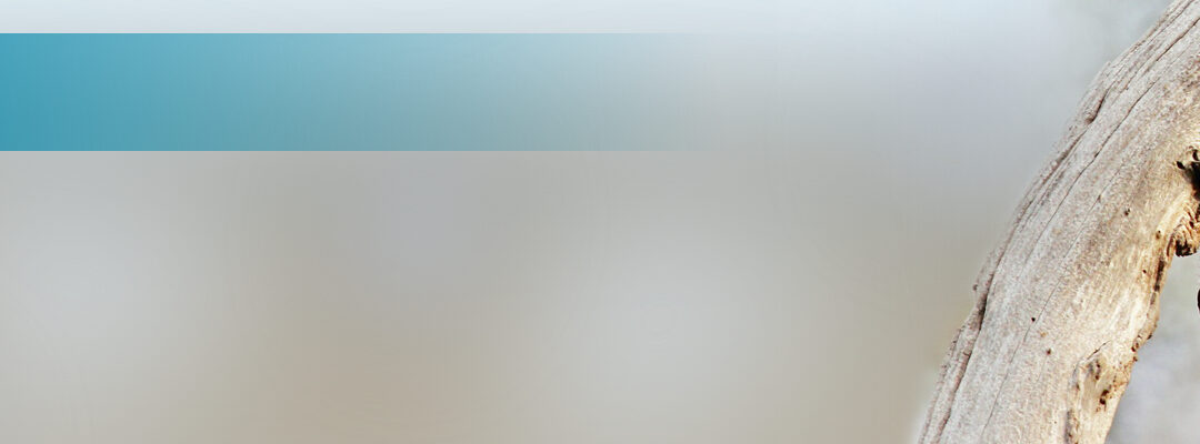 Indien meldet zwei Nipah-Virusinfektionen