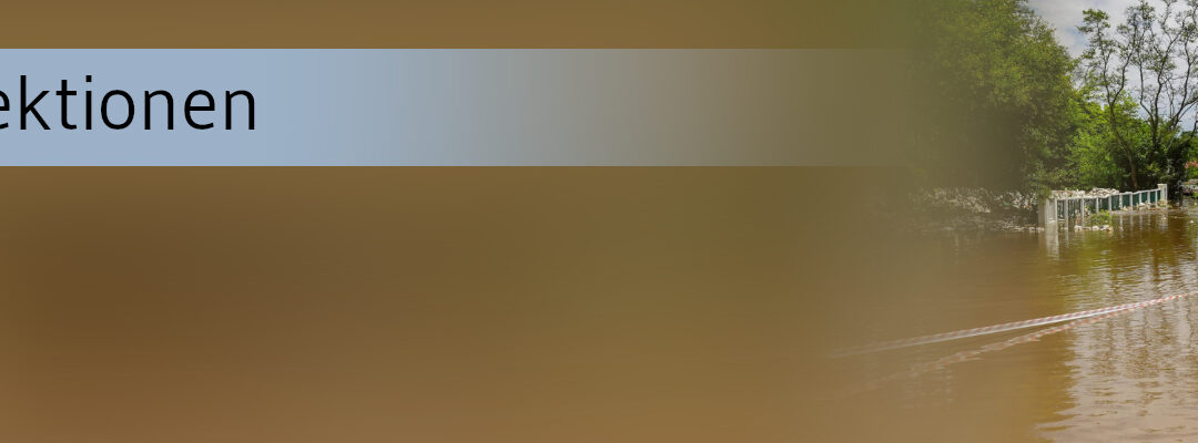 Melioidose: globale Ausbreitung, aber Impfstoff in Sicht