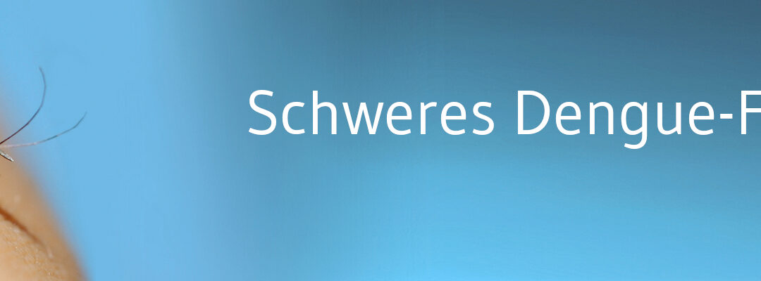 Risikofaktoren für schweren Dengue-Verlauf identifiziert
