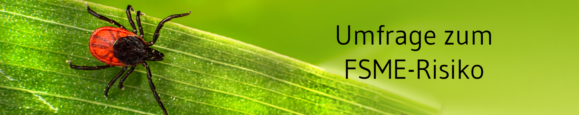 Die-GPK-informiert-FSME-Risiko-Umfrage