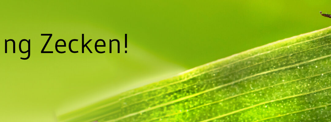 Zecken haben wieder Saison