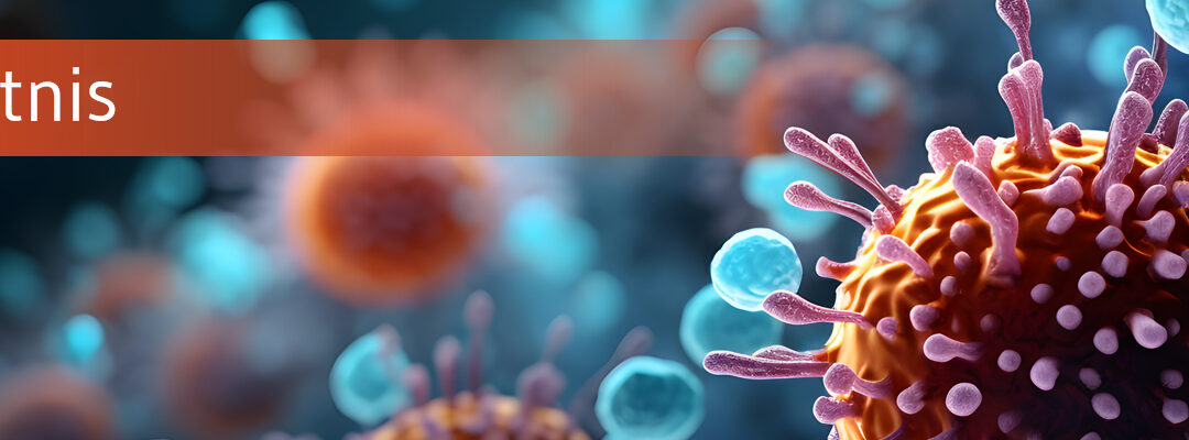 Warum sich unser Immunsystem über Jahrzehnte an Impfungen erinnert