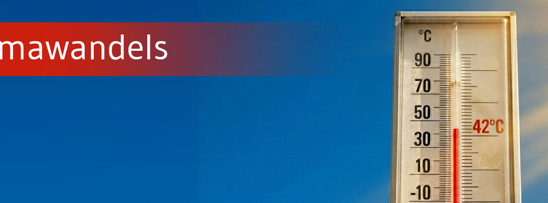 Klimawandel wirkt sich zunehmend auf Gesundheit aus